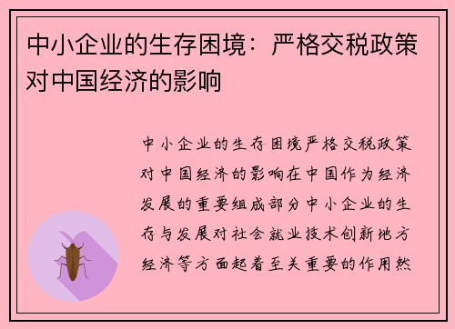 中小企业的生存困境：严格交税政策对中国经济的影响